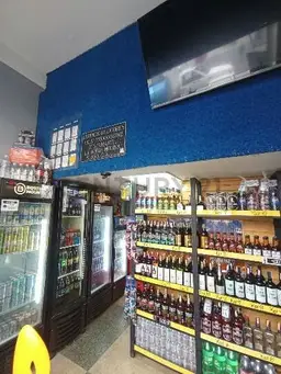 Vista 6