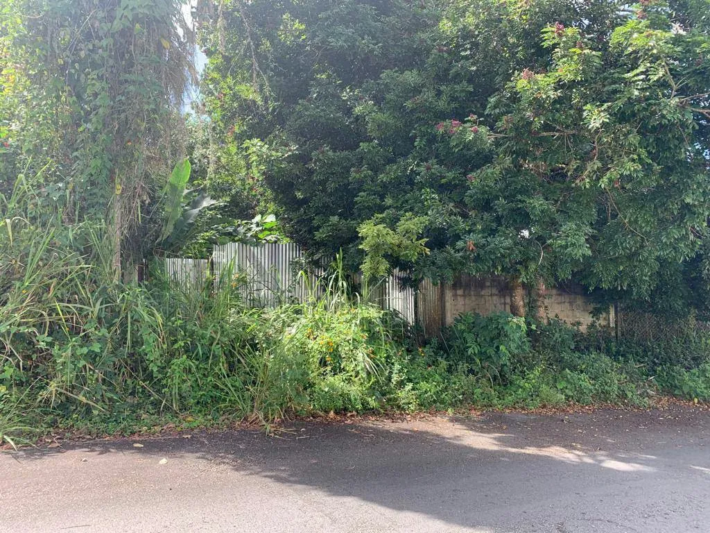 Terreno ubicado en Los Guayabitos, Urbanización Residencias El Placer - 2