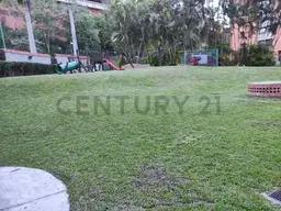 Vista 14