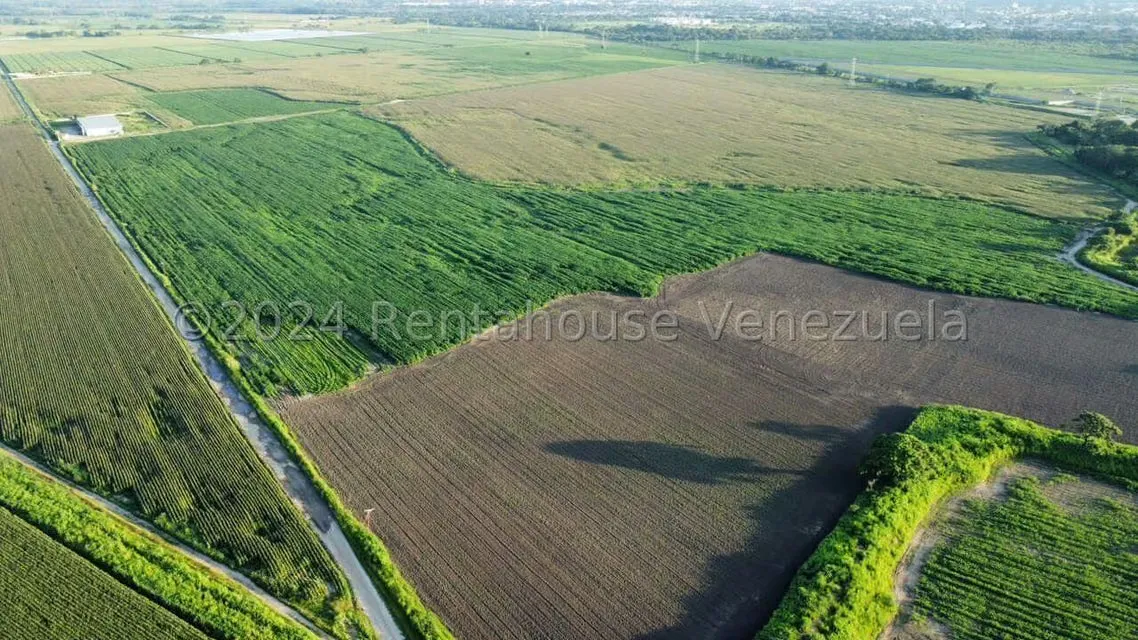 Terreno (Industrial) en Venta en Miraflores, Portuguesa - 2