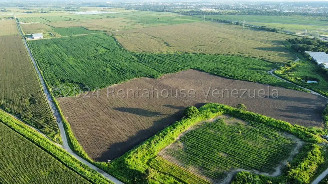 Terreno (Industrial) en Venta en Miraflores, Portuguesa - 4