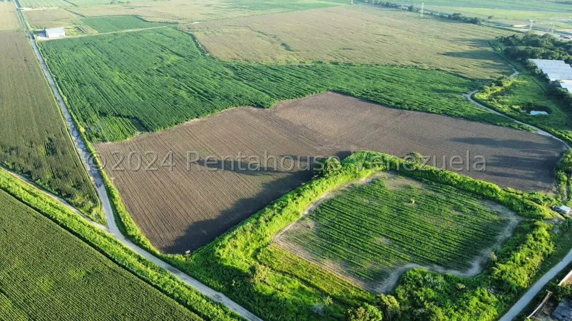 Terreno (Industrial) en Venta en Miraflores, Portuguesa - 5