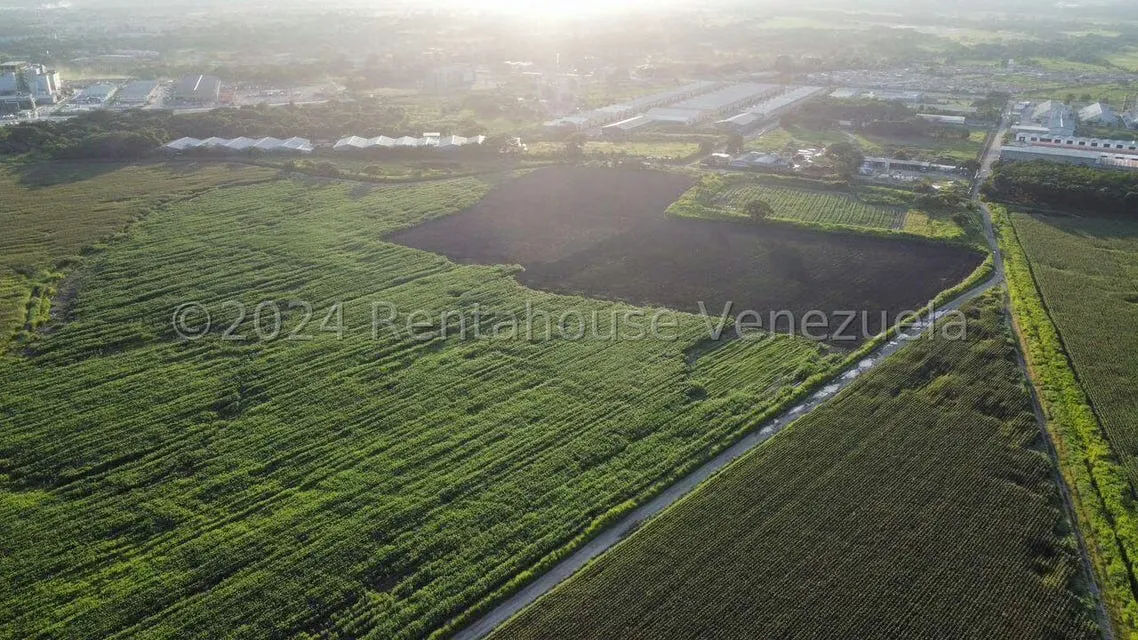 Terreno (Industrial) en Venta en Miraflores, Portuguesa - 7