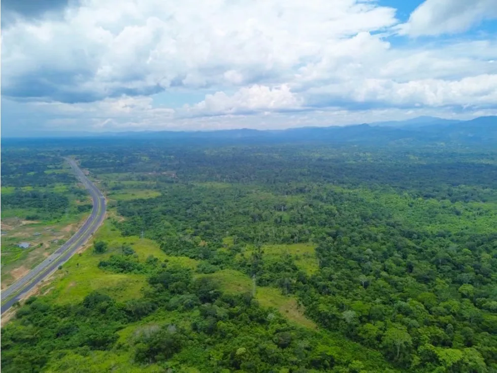 En Venta Terreno de 250 hectáreas en Higuerote. Estado Miranda - 3