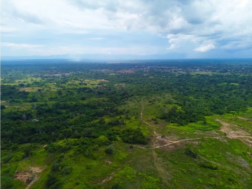 En Venta Terreno de 250 hectáreas en Higuerote. Estado Miranda - 8