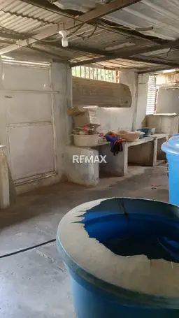 Vista 4