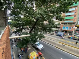 View 15