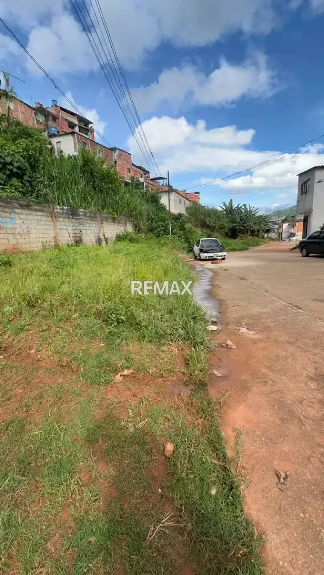 Terreno. Venta. Palo Gordo - 6