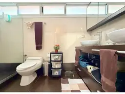 Vista 20