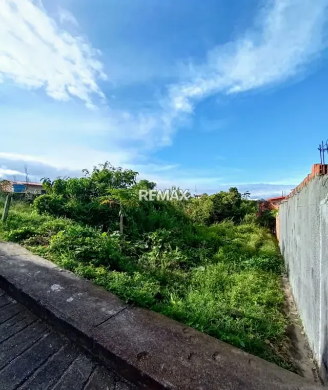 Parcela en Venta El Valle, Sector el Bolon - 5