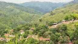 View 15