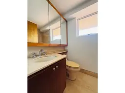 Vista 16