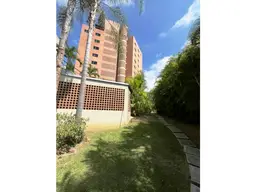 Vista 11