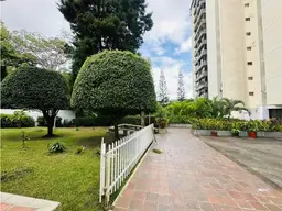 Vista 14