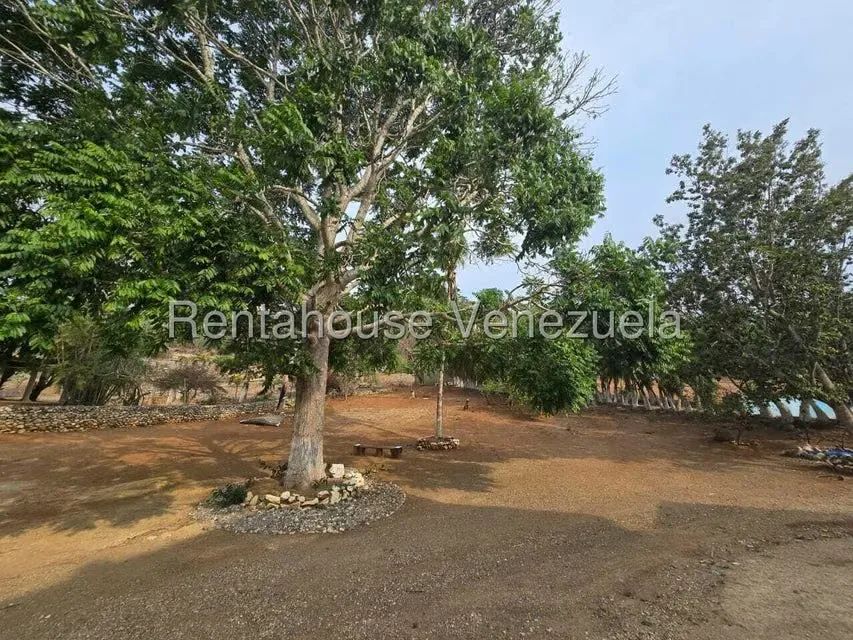 Casa (Duplex) en Venta en El Manzano, Lara - 4