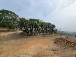 Vista 6