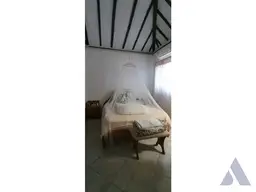Vista 11