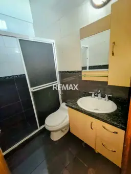 Vista 14