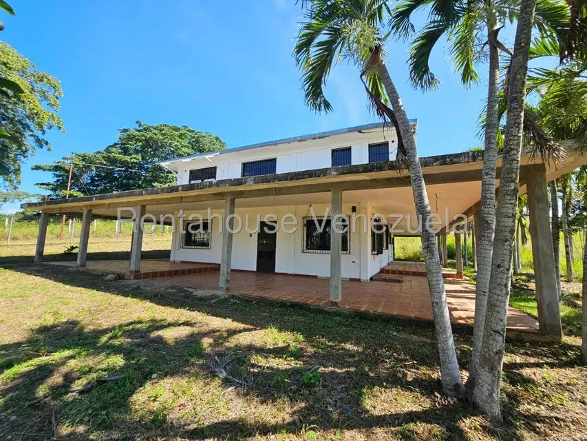 Comercial (Club Campestre) en Venta en Los Pinos, Lara - 3