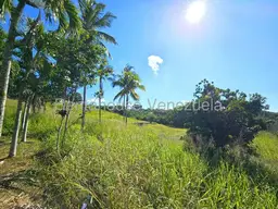 View 37