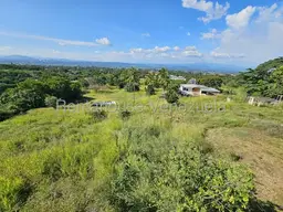 View 49