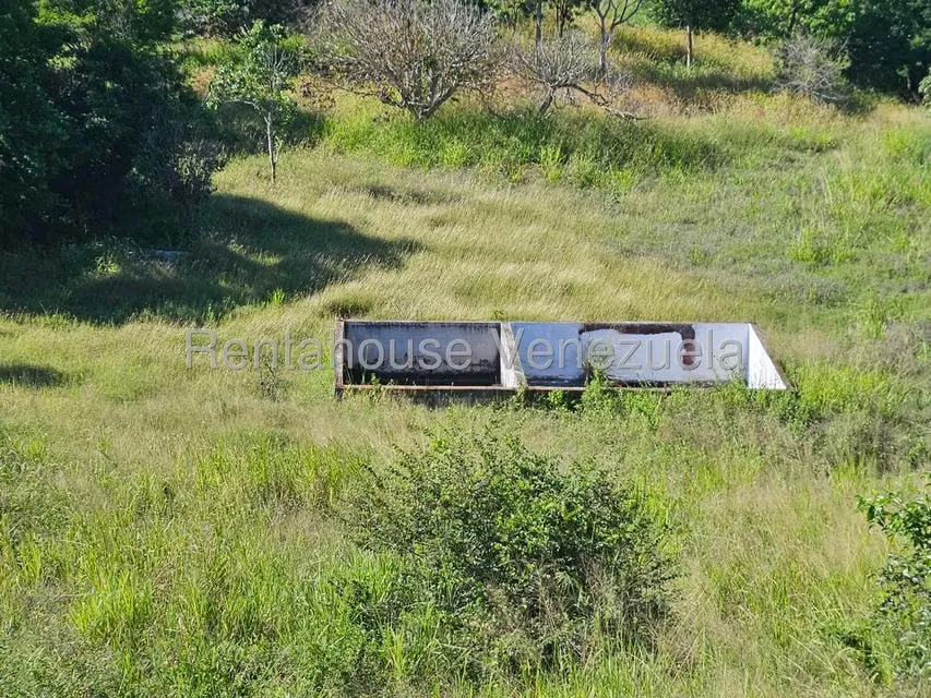 Comercial (Club Campestre) en Venta en Los Pinos, Lara - 50