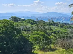 View 51