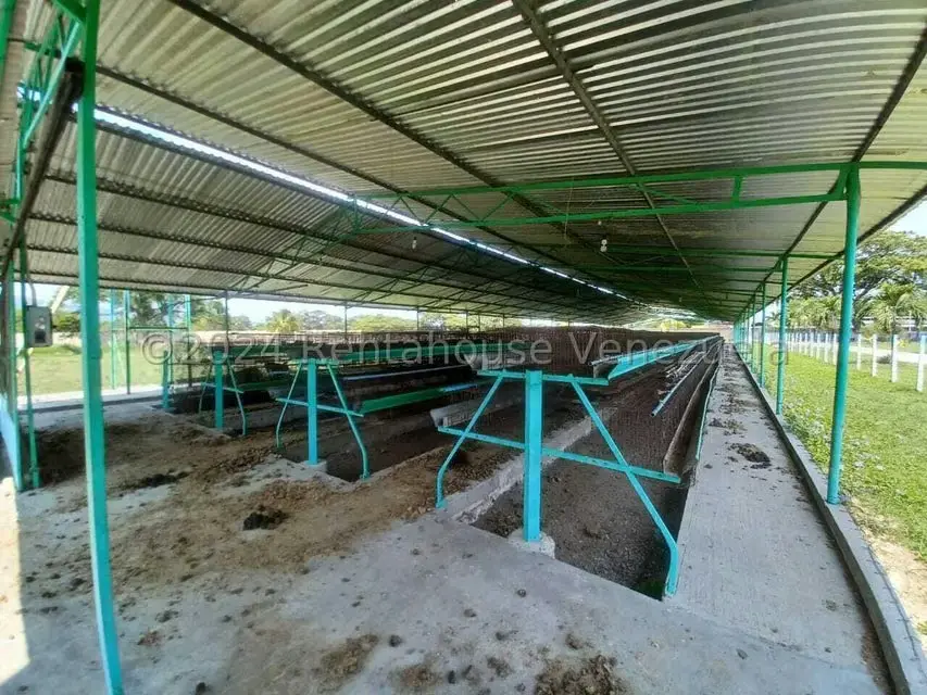 Negocios y Empresas (Alimentos y Bebidas) en Venta en El Mahomo, Aragua - 18
