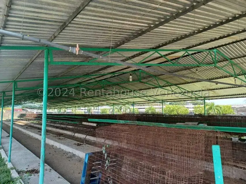 Negocios y Empresas (Alimentos y Bebidas) en Venta en El Mahomo, Aragua - 19