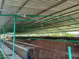View 19