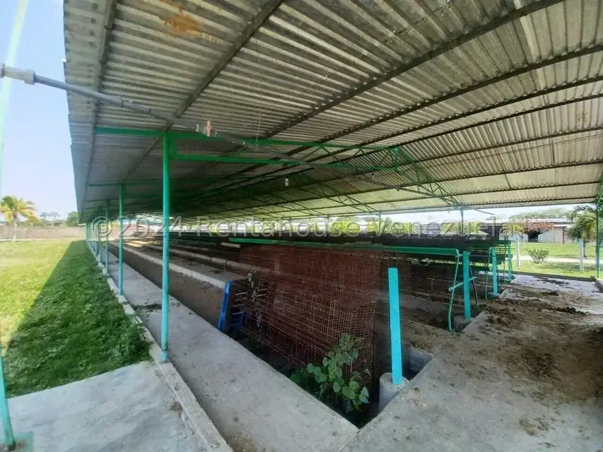 Negocios y Empresas (Alimentos y Bebidas) en Venta en El Mahomo, Aragua - 20