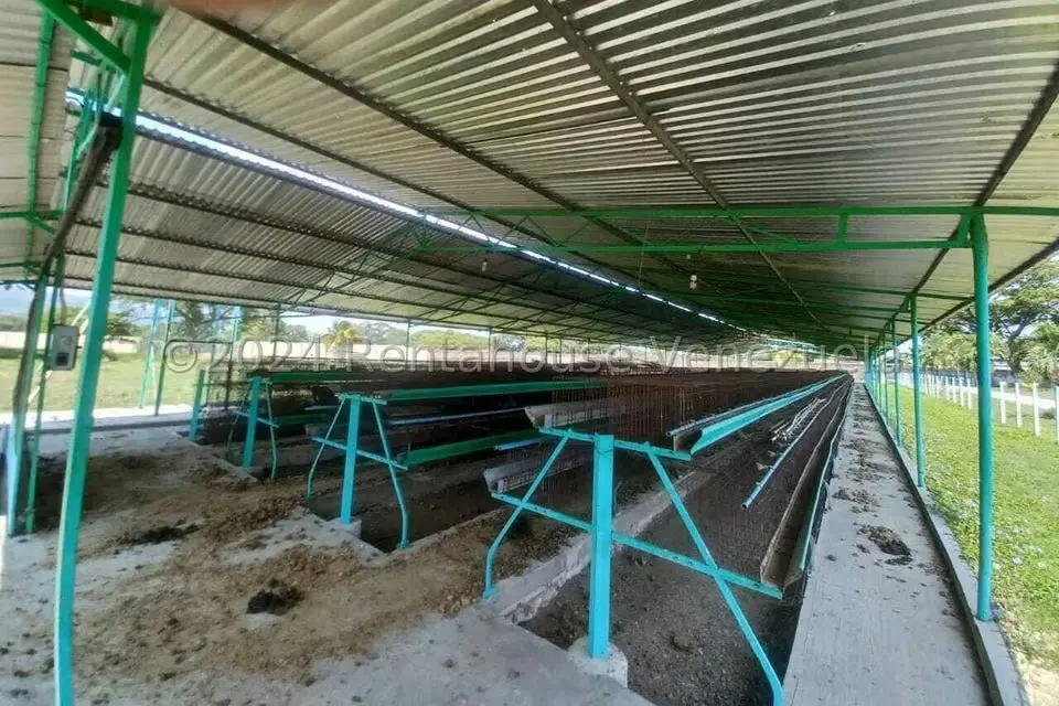 Negocios y Empresas (Alimentos y Bebidas) en Venta en El Mahomo, Aragua - 21