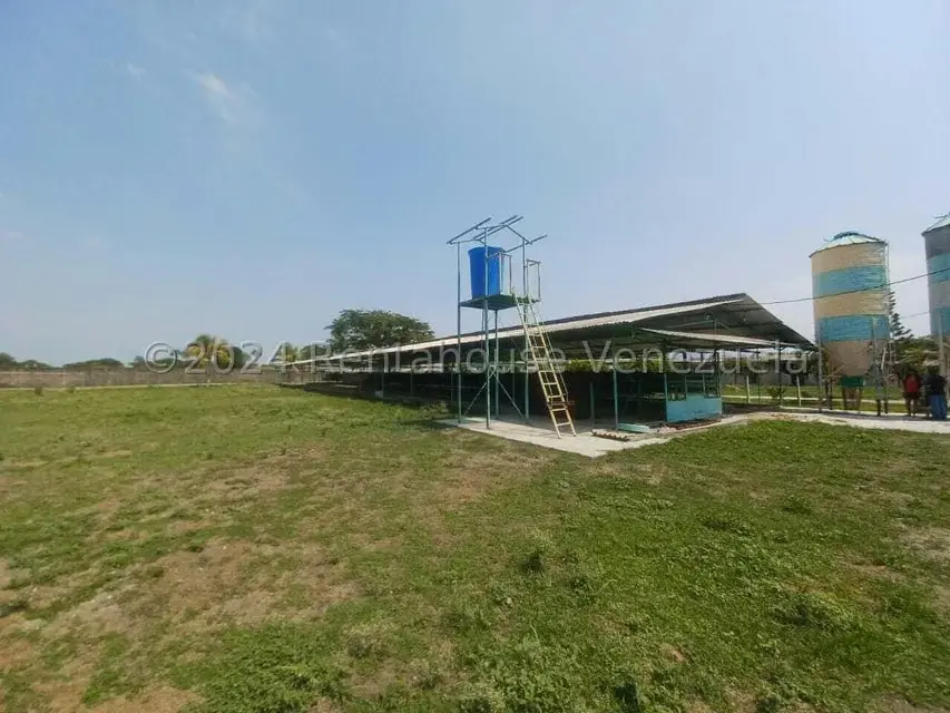 Negocios y Empresas (Alimentos y Bebidas) en Venta en El Mahomo, Aragua - 22