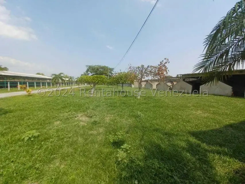 Negocios y Empresas (Alimentos y Bebidas) en Venta en El Mahomo, Aragua - 23