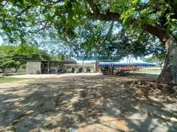 View 25