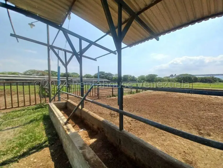 Negocios y Empresas (Alimentos y Bebidas) en Venta en El Mahomo, Aragua - 27
