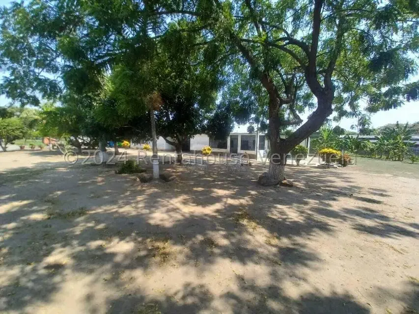 Negocios y Empresas (Alimentos y Bebidas) en Venta en El Mahomo, Aragua - 28