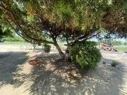 View 29