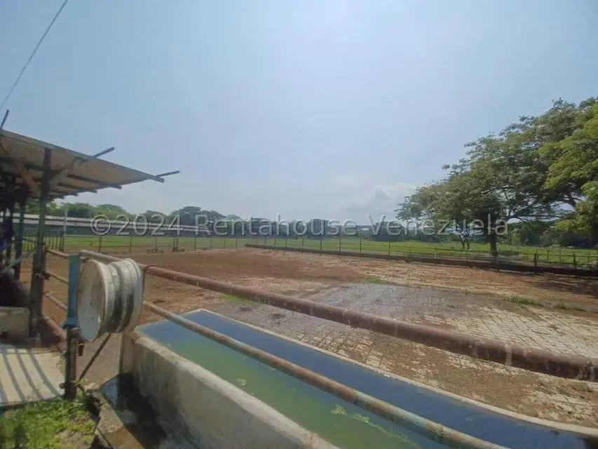 Negocios y Empresas (Alimentos y Bebidas) en Venta en El Mahomo, Aragua - 30