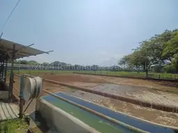 View 30