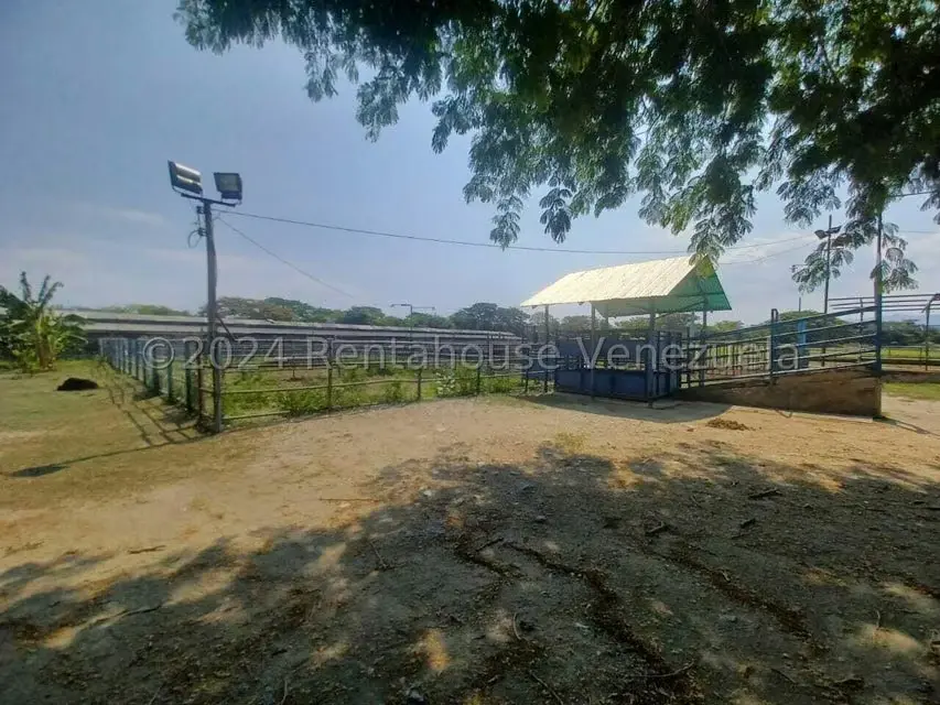 Negocios y Empresas (Alimentos y Bebidas) en Venta en El Mahomo, Aragua - 31