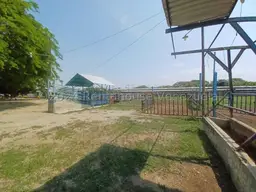 View 34