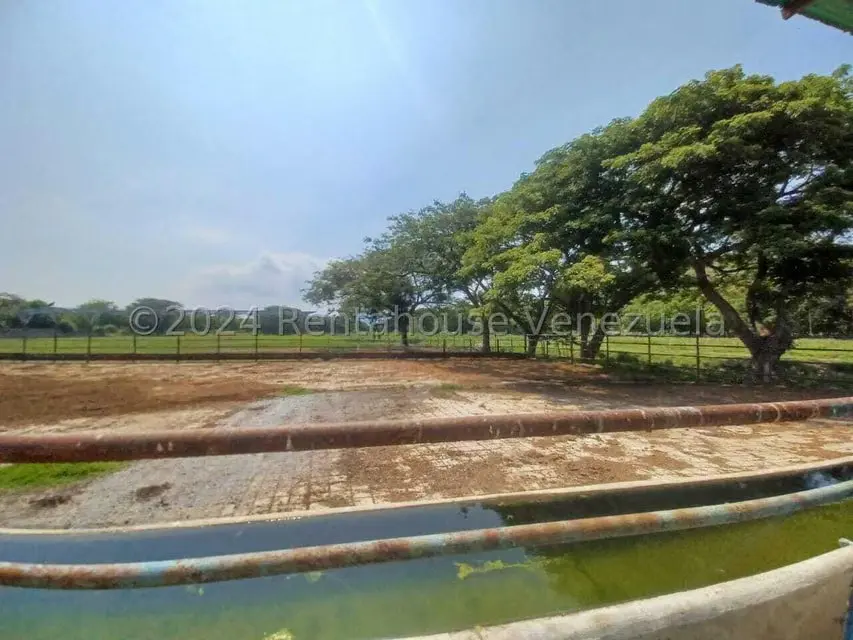 Negocios y Empresas (Alimentos y Bebidas) en Venta en El Mahomo, Aragua - 35