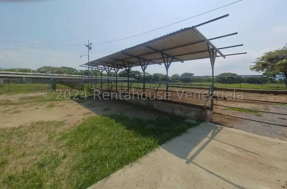 Negocios y Empresas (Alimentos y Bebidas) en Venta en El Mahomo, Aragua - 36