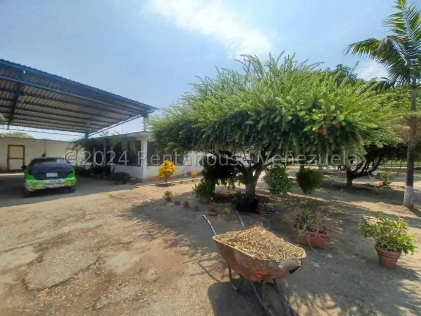 Negocios y Empresas (Alimentos y Bebidas) en Venta en El Mahomo, Aragua - 4