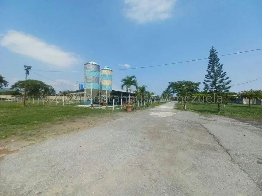 Negocios y Empresas (Alimentos y Bebidas) en Venta en El Mahomo, Aragua - 5
