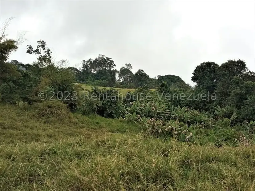 Terreno (Finca) en Venta en Centro, Merida