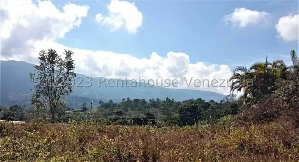 Terreno (Finca) en Venta en Centro, Merida - 4