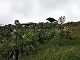 Vista 5