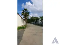 Vista 4